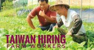 Taiwan Hiring Farmer Worker