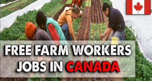 Farm Worker Jobs in Canada 2024